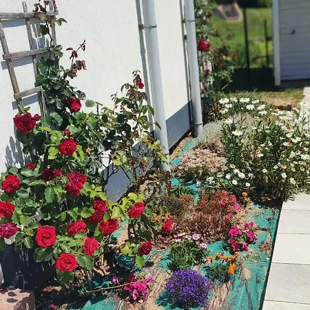 Hébergement de vacances Les étoiles De La Baie *